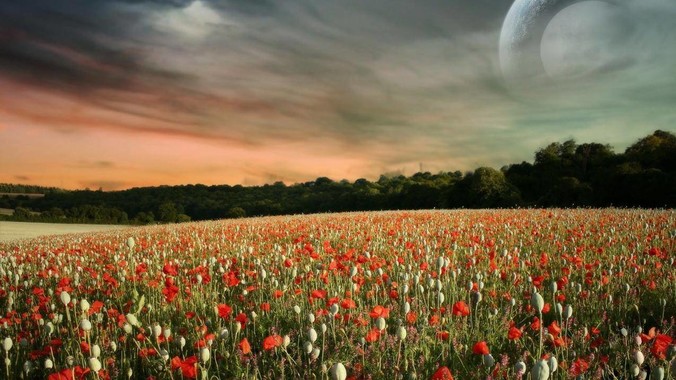 想知道德普怎么看上艾梅柏·希尔德的？